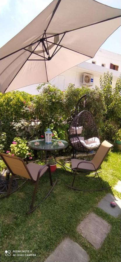 Maria Charalampaki Studios İskiri Dış mekan fotoğraf
