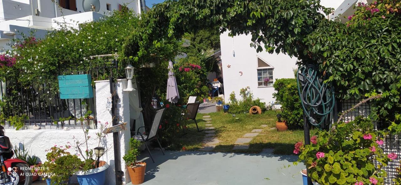 Maria Charalampaki Studios İskiri Dış mekan fotoğraf