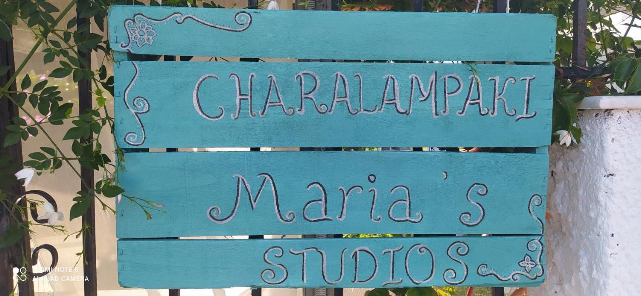 Maria Charalampaki Studios İskiri Dış mekan fotoğraf
