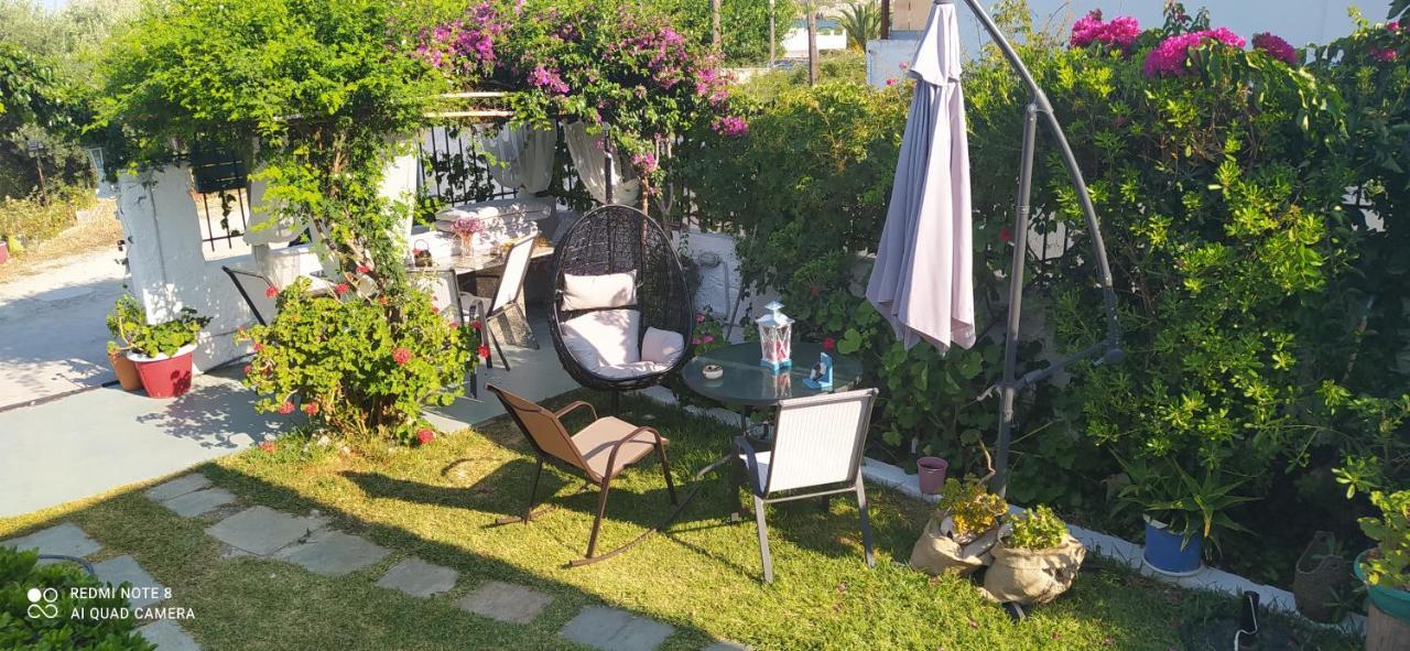 Maria Charalampaki Studios İskiri Dış mekan fotoğraf