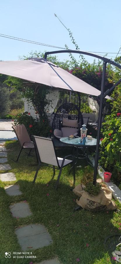Maria Charalampaki Studios İskiri Dış mekan fotoğraf